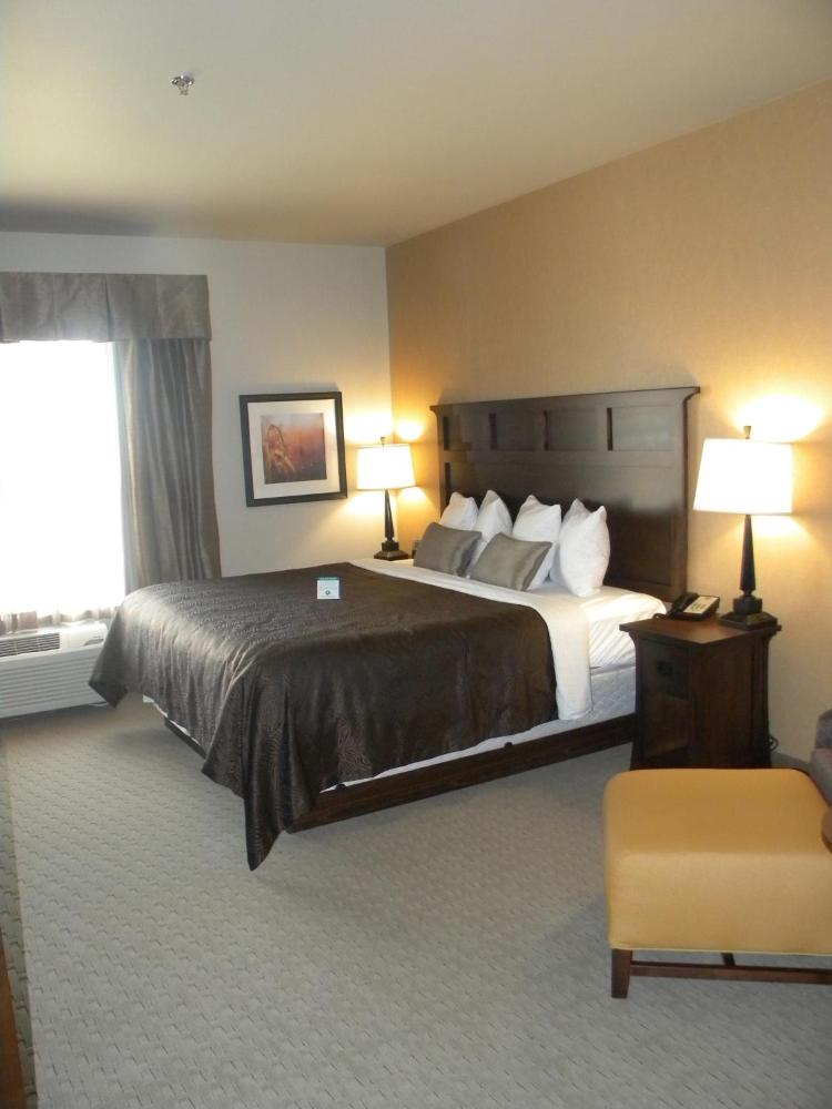 Standard King Room interior